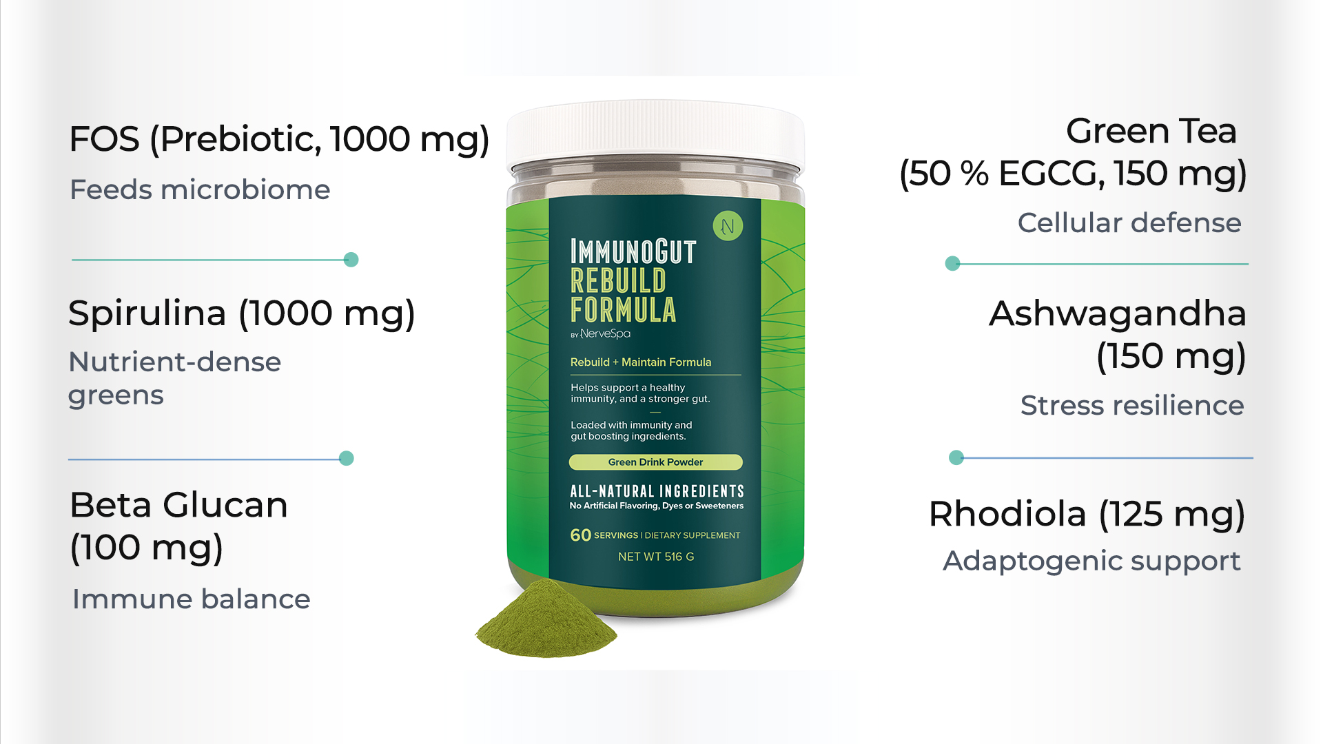 ImmunoGut Rebuild + Maintain key ingredients infographic