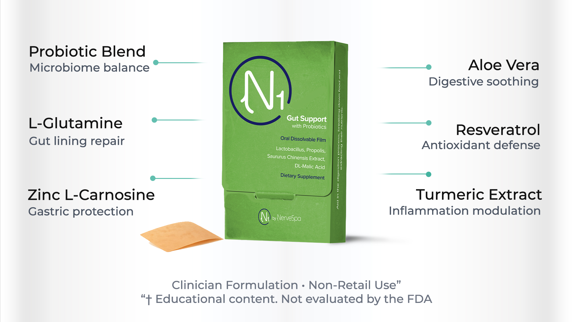 N1 Gut Support key ingredients infographic