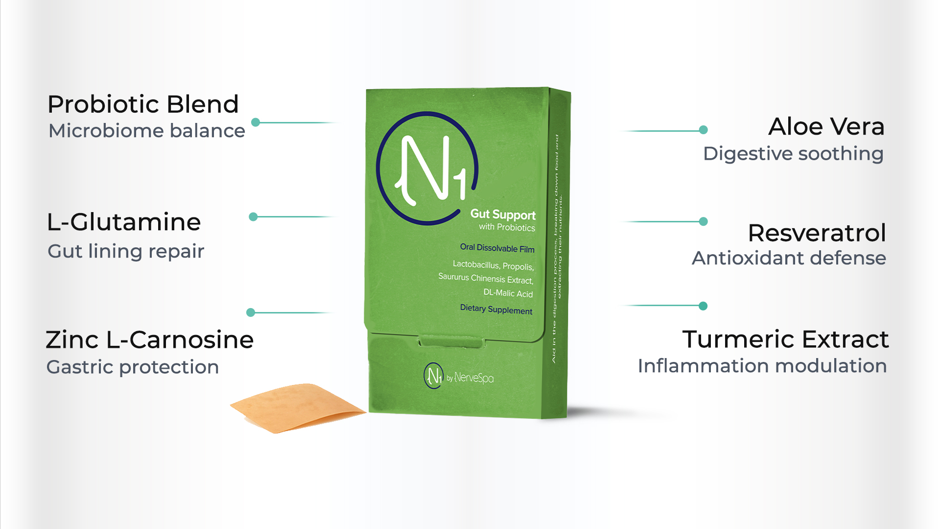 N1 Gut Support key ingredients infographic