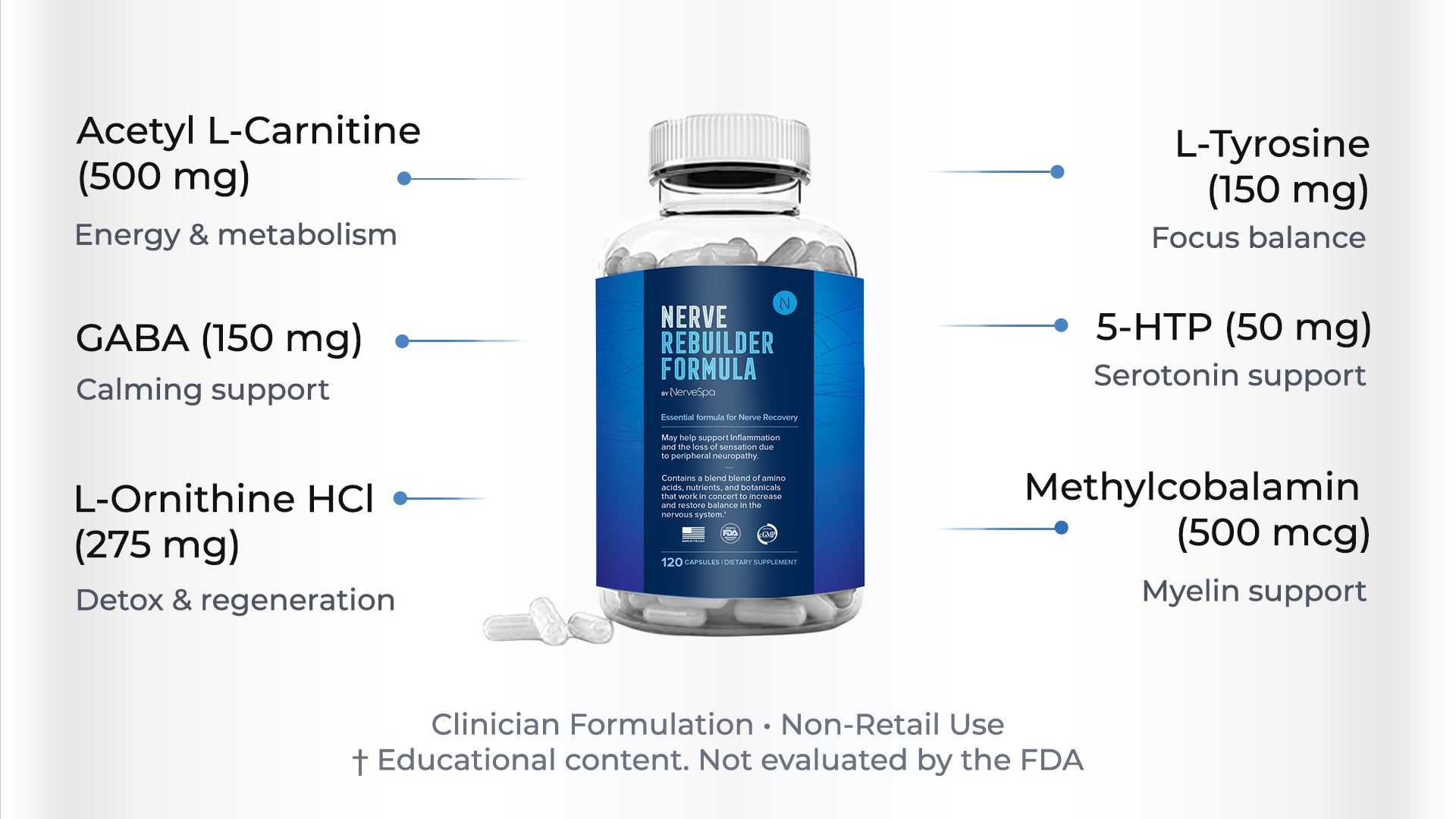 Nerve Rebuilder key ingredients infographic